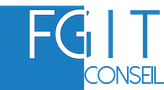 FGIT Conseil logo